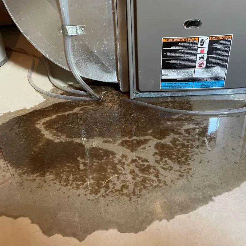 Pipe Burst and Leak Restoration in Leavenworth, KS